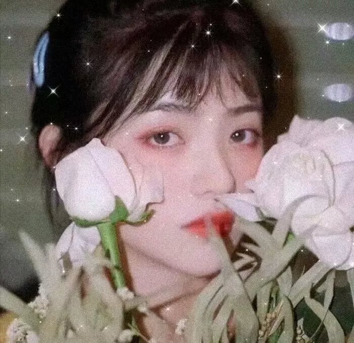 贝拉的秘密
